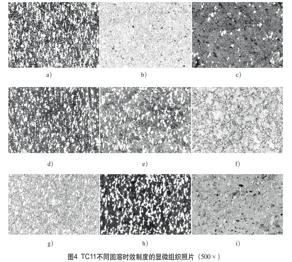 1648218970118481.jpg t4.jpg