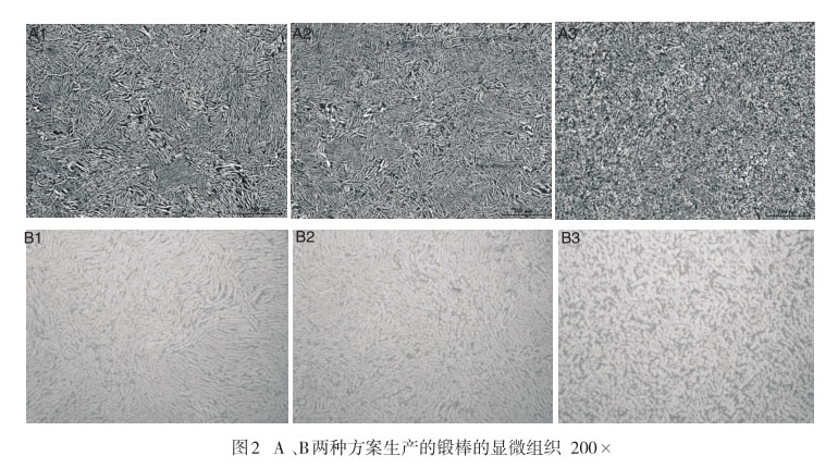 A 、B兩種方案生產(chǎn)的鍛棒的顯微組織