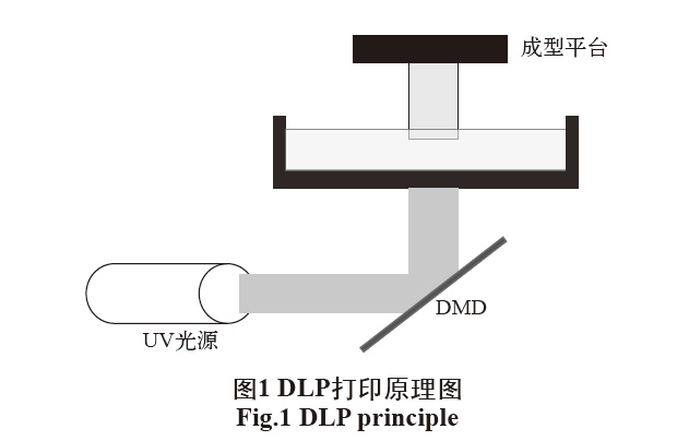 1664019050462078.jpg 11.jpg