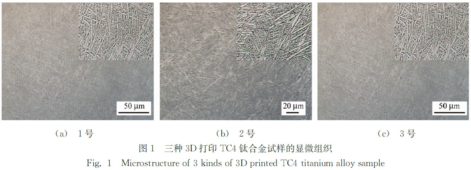 1668902724514476.jpg b1.jpg