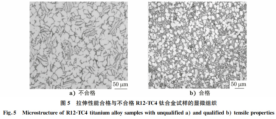 1672988367601382.jpg t5.jpg