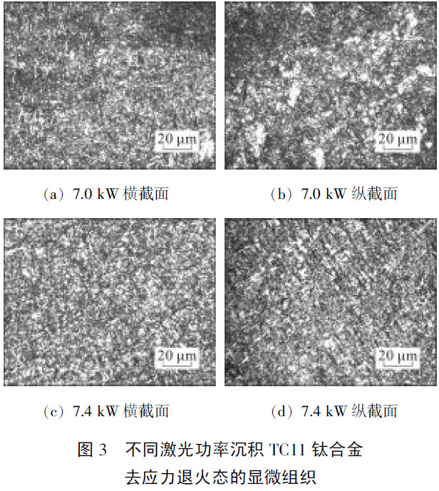 1677898396643881.jpg t3.jpg