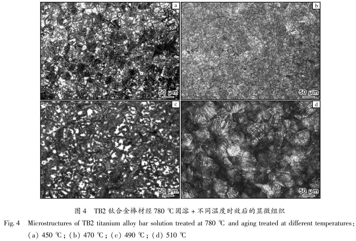 1686276285994368.jpg t4.jpg